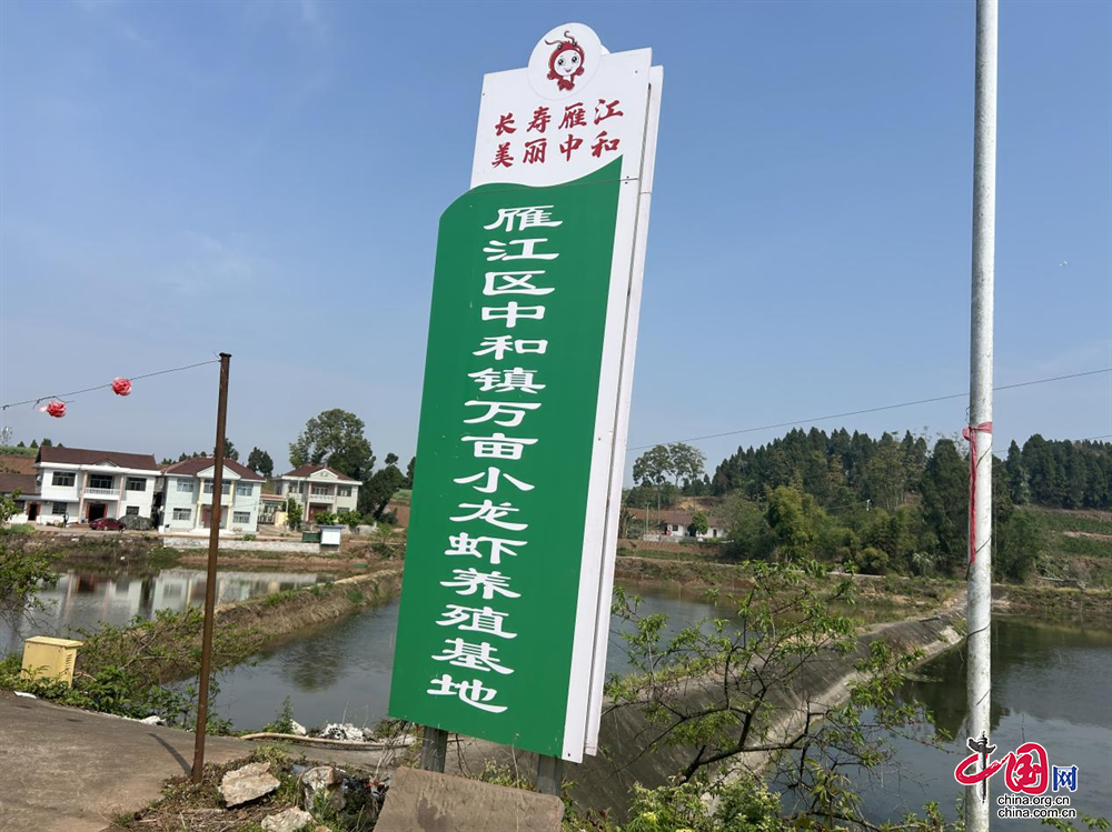 资阳雁江：以“一日一主题”为模式雁江小龙虾美食周再创“新玩法”