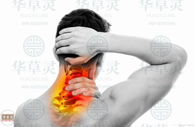 华草灵为你带来缓解颈肩腰腿疼的新视角（一）