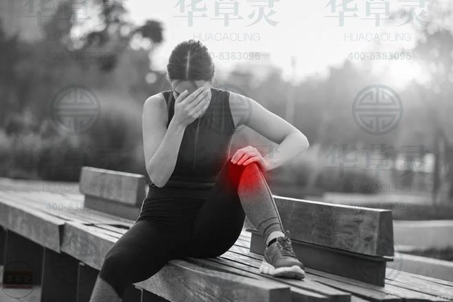 华草灵为你带来缓解颈肩腰腿疼的新视角(一)(图2)