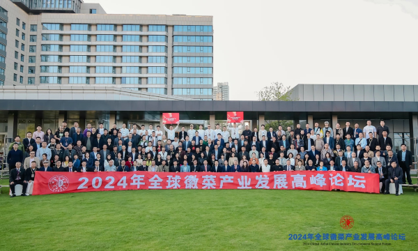 2024年全球徽菜产业发展高峰论坛举行