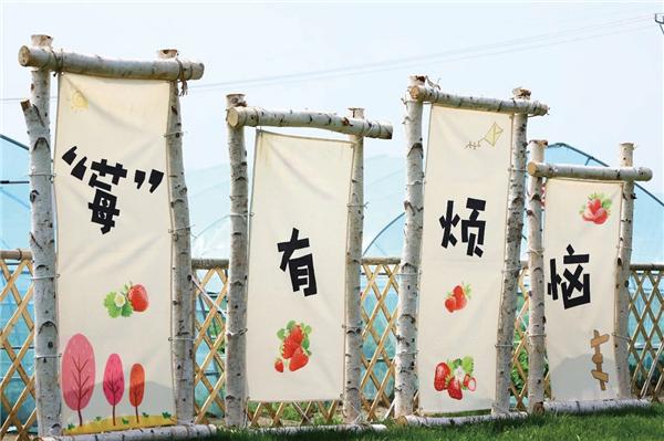 江苏省如皋市吴窑镇:采摘时令美味尽享惬意“食”光(图2)