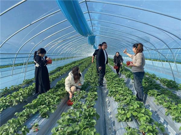 江苏省如皋市吴窑镇:采摘时令美味尽享惬意“食”光 江苏省如皋市吴窑镇:采摘时令美味尽享惬意“食”光