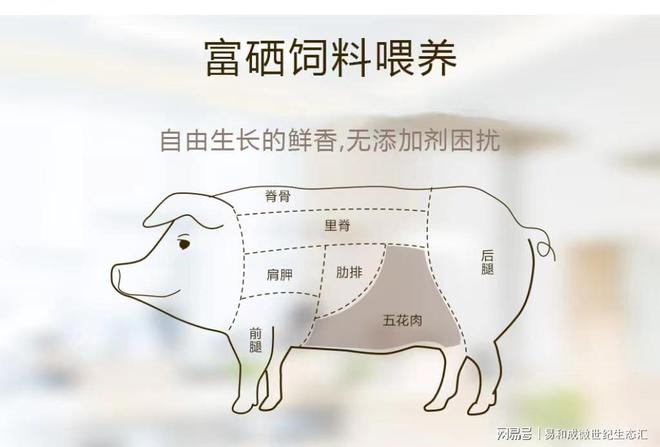 替抗富硒猪肉的营养奥秘与健康之道(图3)