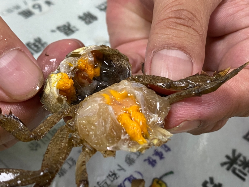 沈嘉禄:阿婆与美食(图4)