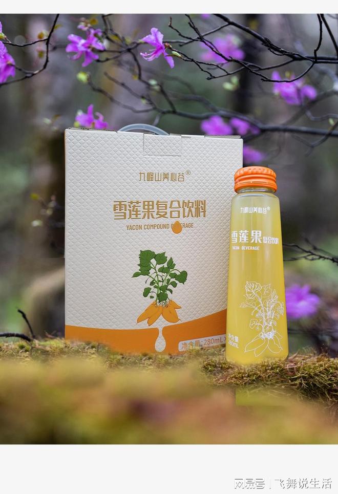 九峰山养心谷:探寻自然之美与健康之道 九峰山养心谷:探寻自然之美与健康之道