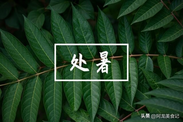 8月22日处暑提醒:5件事别犯了忌讳(图2)